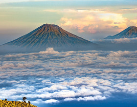 Развлечения на любой вкус