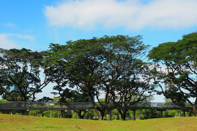 Парк Бенджакити