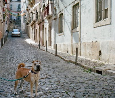 Португалия, Брага