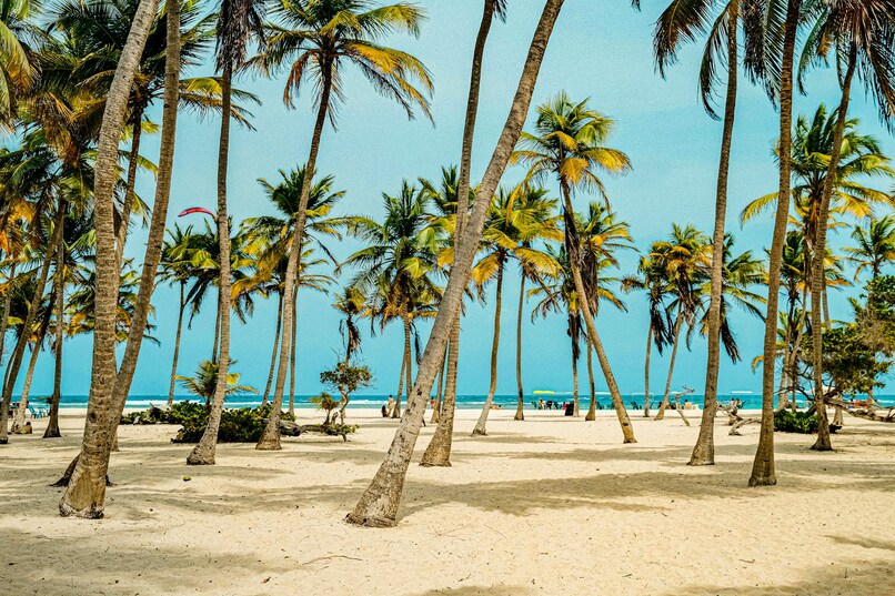 Венесуэла, Каракас